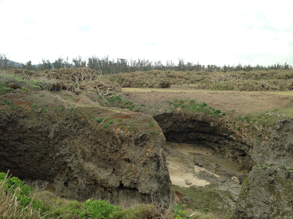 Layered Ryukyu limestone in the cliff face below Cape Manzamo