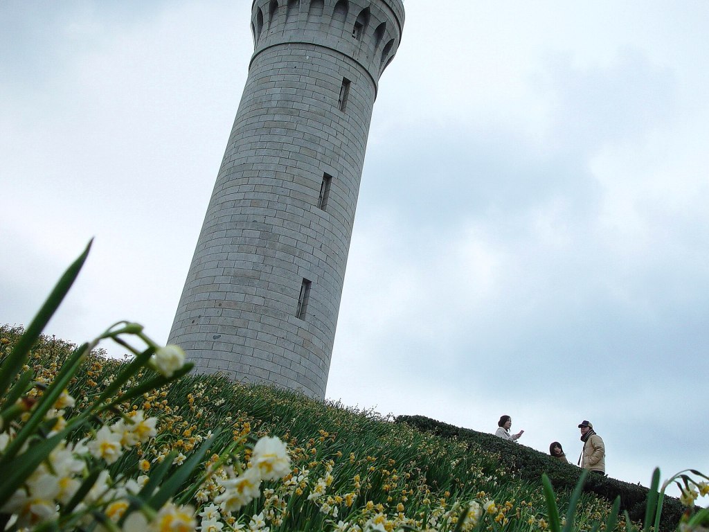 Daffodils flowering in front of Tsunoshima Lighthouse in winter