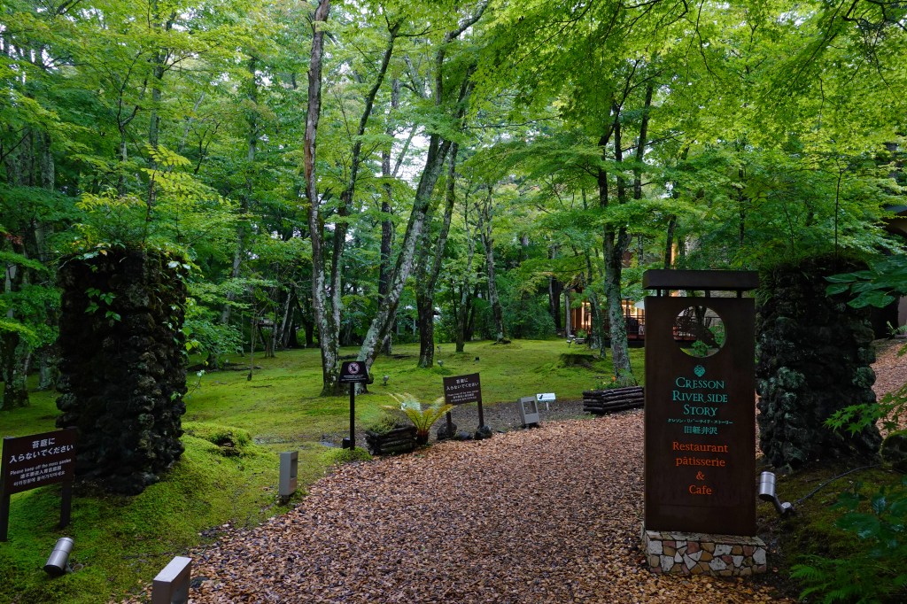 A forest path in the Karuizawa highlands, Nagano