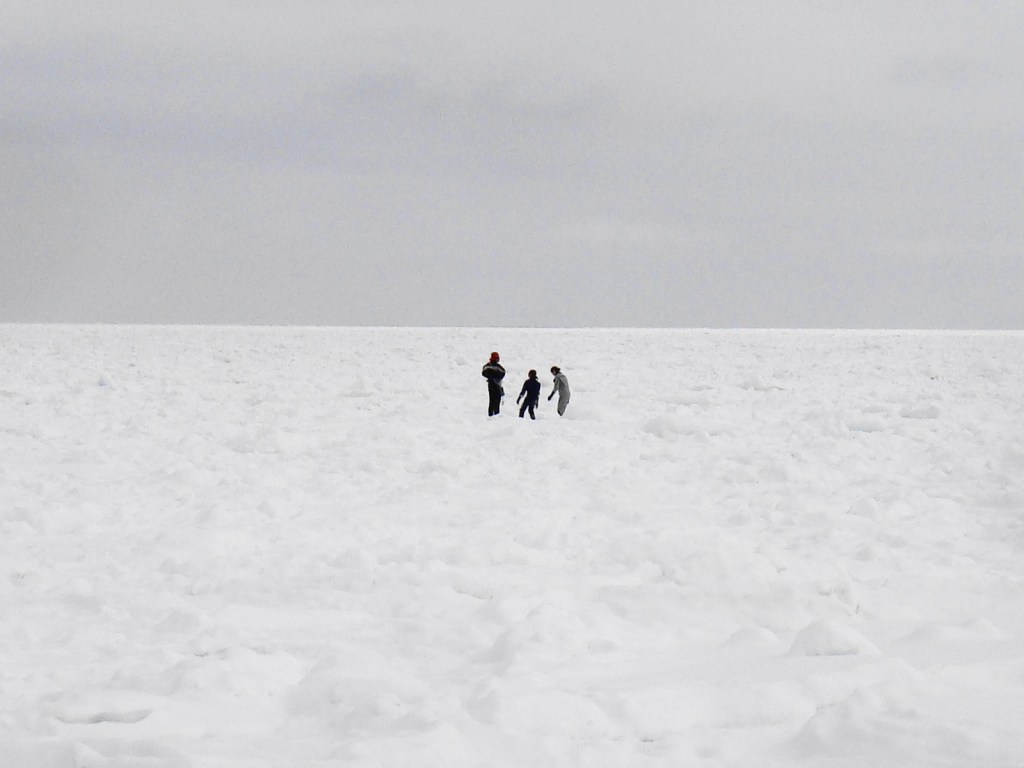 Drift ice along the winter shore at Abashiri, Hokkaido