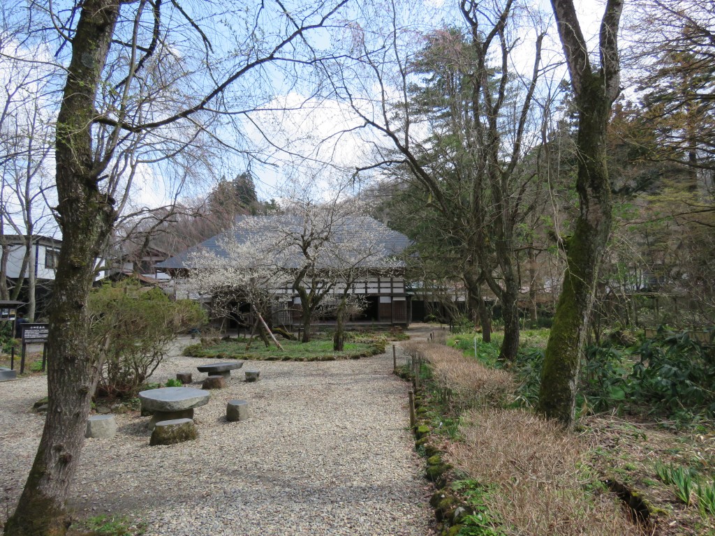 Kakunodate Travel Guide: Samurai Streets and Weeping Cherries