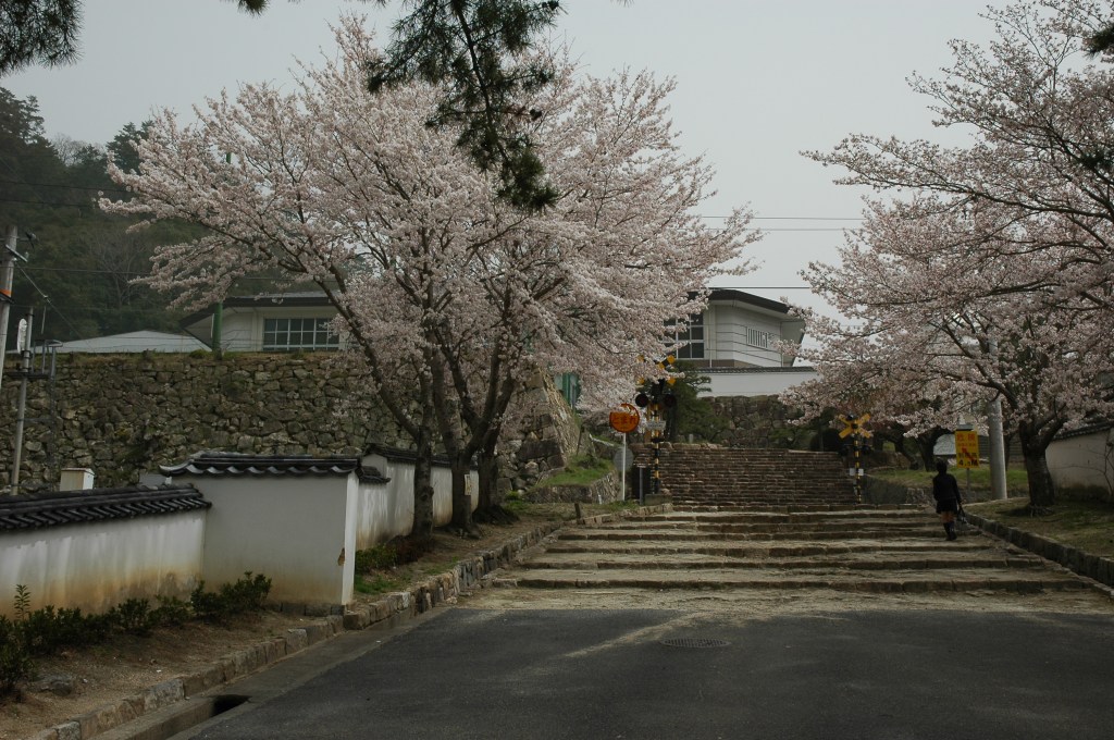 Bitchu-Matsuyama Castle Travel Guide: The Mountain Keep above&nbsp;Takahashi