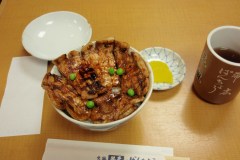 Obihiro Guide: Pork Bowls and the Tokachi Plain
