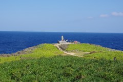 Yambaru National Park Travel Guide: Okinawa's Northern Forest