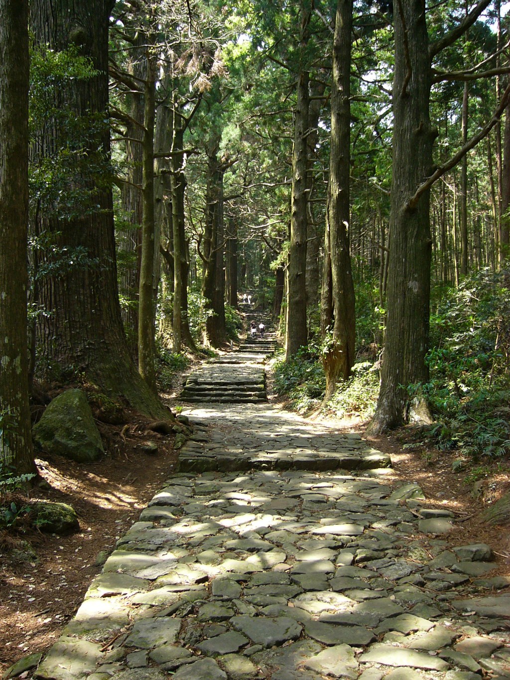 Moss-covered stone steps of Daimon-zaka climbing through cedar forest