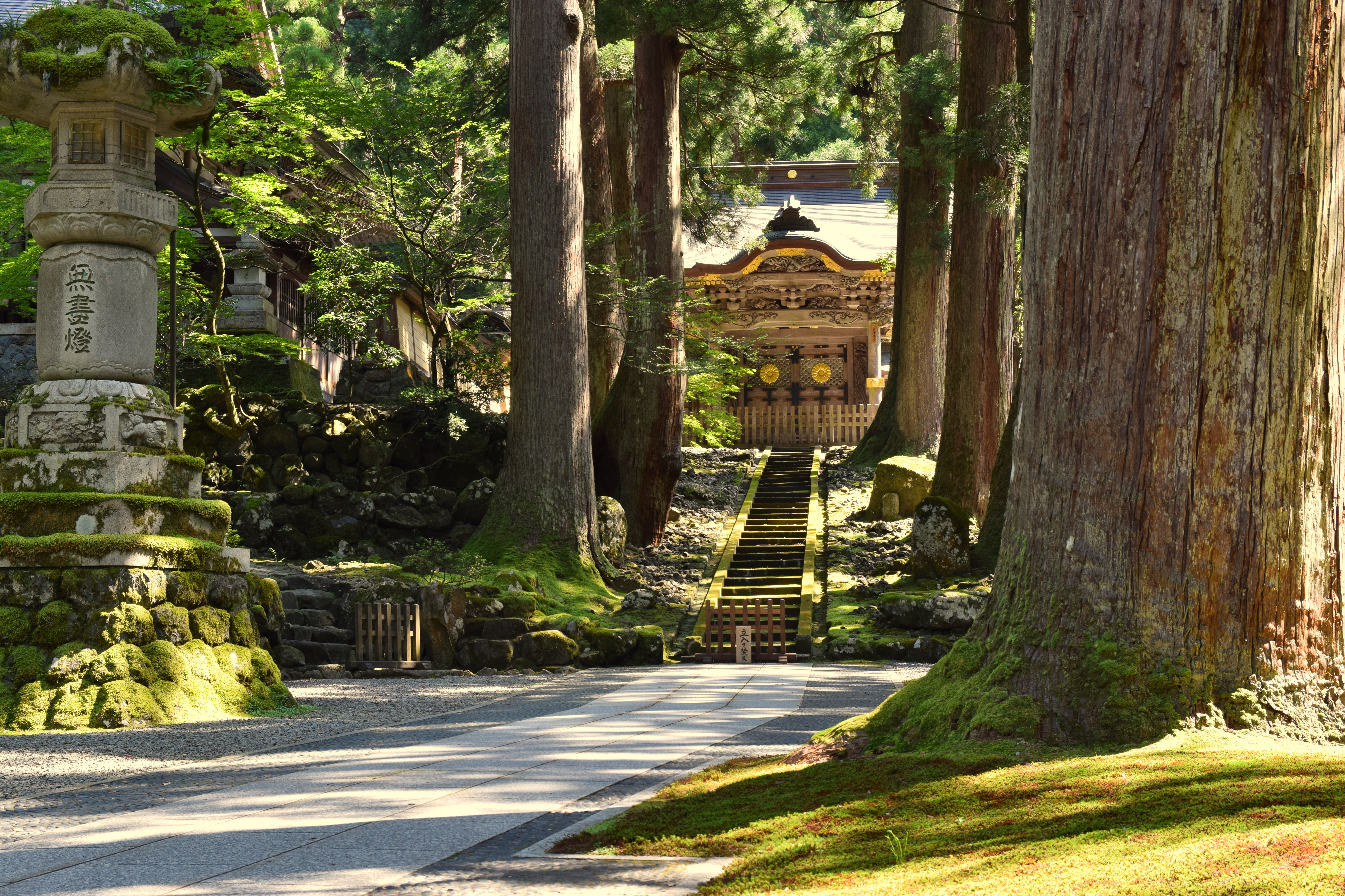 Eiheiji Travel Guide: A Working Zen Monastery in Fukui