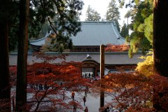 Enryaku-ji Travel Guide: The Tendai Monastery on Mount Hiei