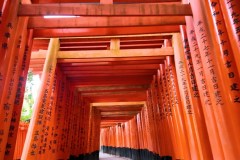 Fushimi Inari Travel Guide: The Torii Path, the Hike and the Best Hours