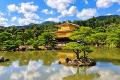 Kinkaku-ji Travel Guide: The Golden Pavilion, the Pond and the Best Time to Visit