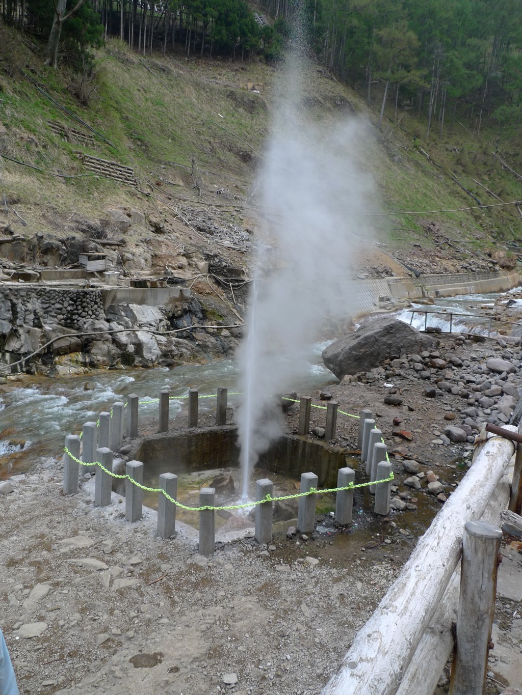 Steam and hot water spouting from the Shibu Jigokudani geyser beside the river