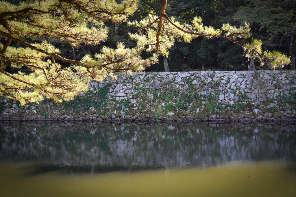 The moat of Hikone Castle in Shiga, Japan