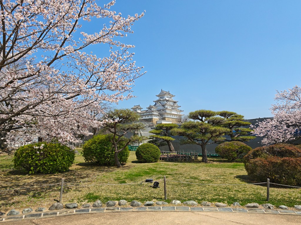 Cherry trees by Himeji Castle in Hyogo, Japan