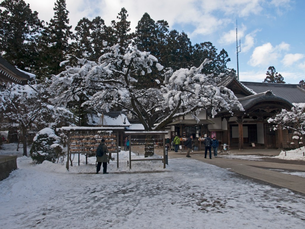 Snow-covered tree and wooden temple hall at Chuson-ji in Hiraizumi