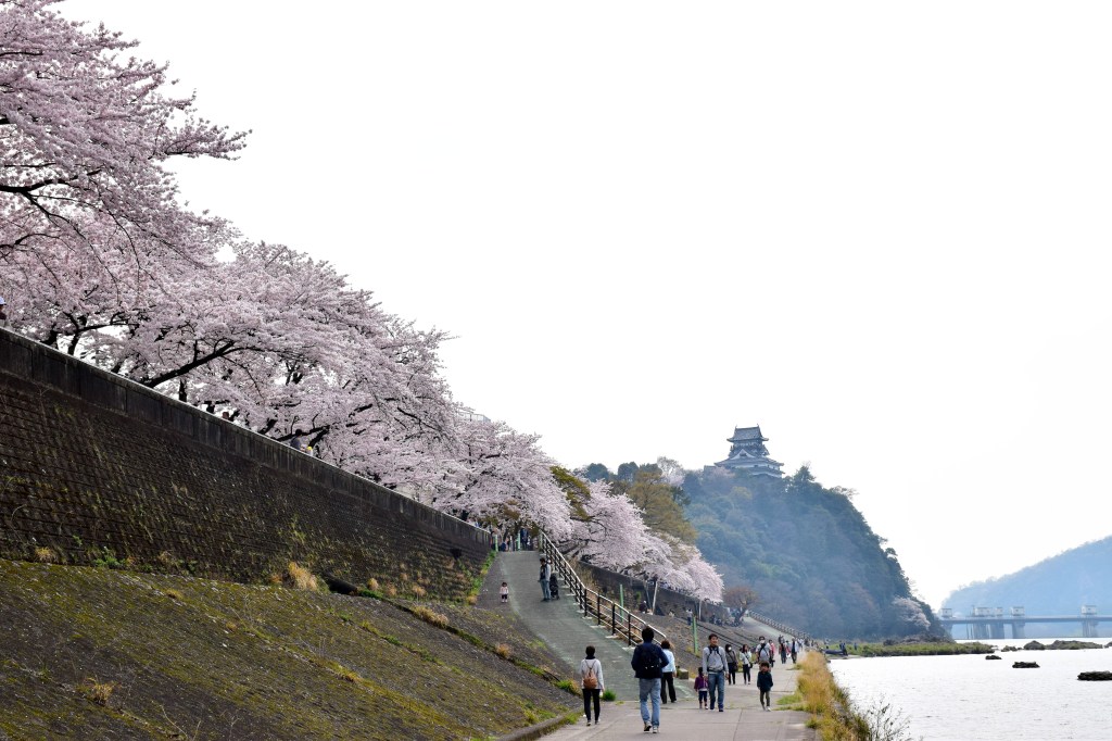 Inuyama Castle and the Kiso River in Aichi, Japan