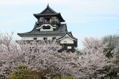Inuyama Castle Travel Guide: Japan's Oldest Surviving Keep