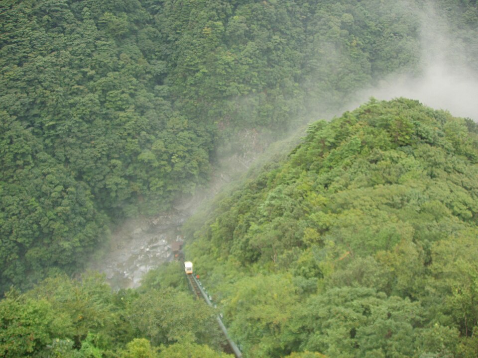 Cable line descending into a misty forest valley