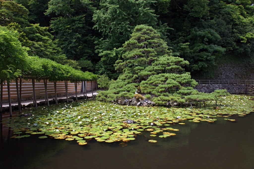 Izumo Taisha shrine buildings in Shimane, Japan