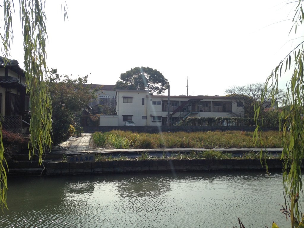 Irises flowering beside the moat at Kabashima Iris Garden in Yanagawa