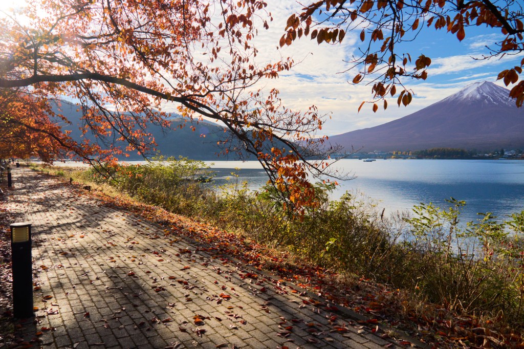 The shore of Lake Kawaguchi with Mount Fuji behind it
