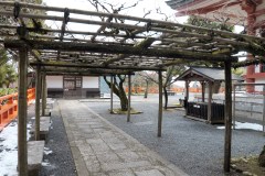 Kurama and Kibune Day Trip from Kyoto: Temples, Forest Trails, and Mountain Air