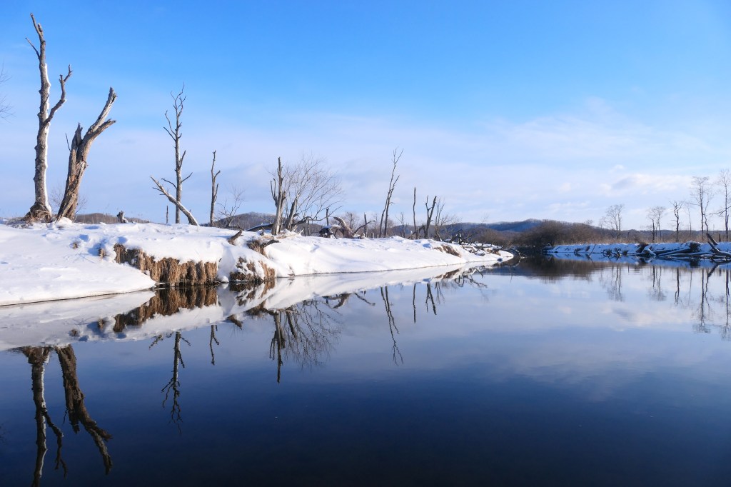 Wetland and river channels in Kushiro Marsh, Hokkaido, Japan