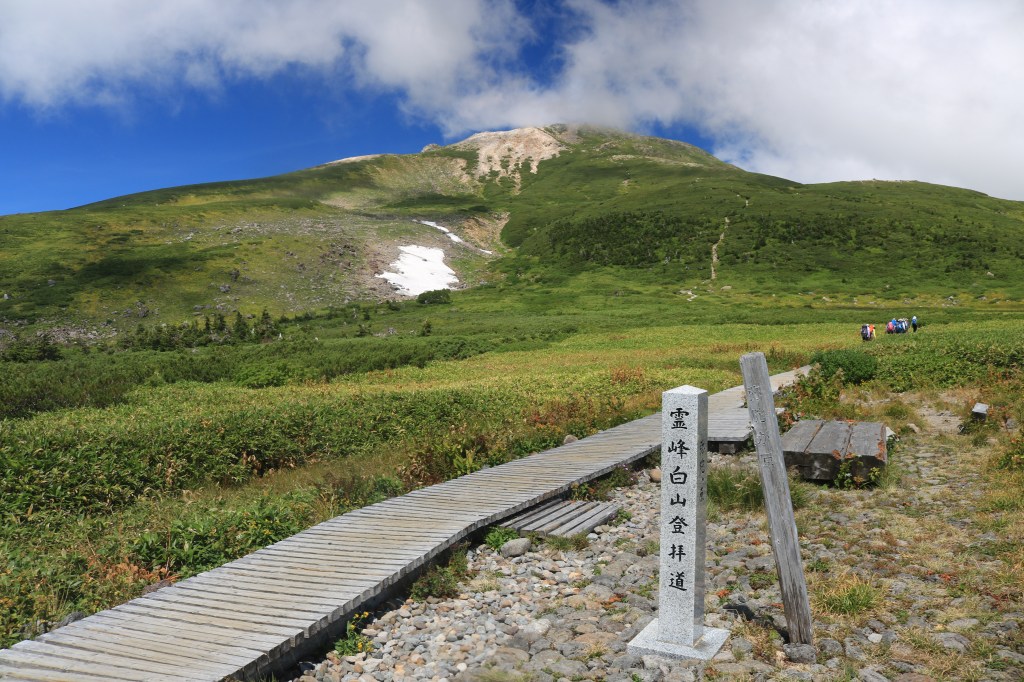 Alpine flowers on the trails of Mount Hakusan, Ishikawa
