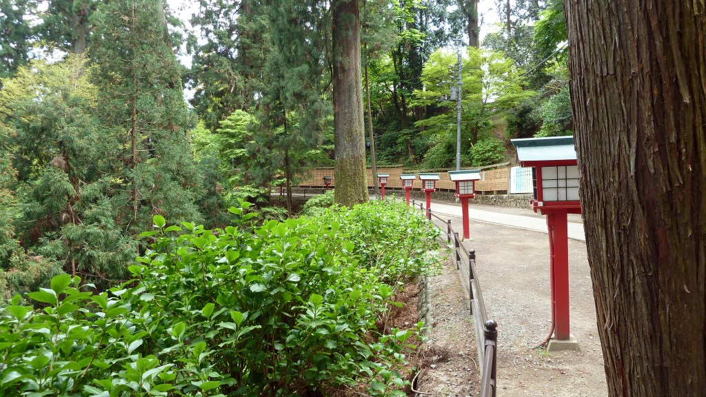 A wooded trail on Mount Takao in Tokyo, Japan