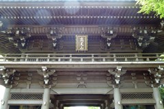 Mount Takao Travel Guide: A Temple Hike on the Edge of Tokyo