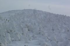 Zao Onsen Guide: Snow Monsters, Skiing, and the Ropeway