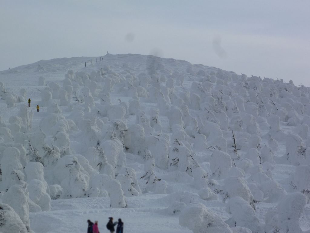 Snow-covered juhyo trees on the Zao mountain ridge in Yamagata, Japan