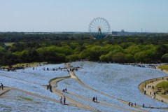 Hitachi Seaside Park Travel Guide: Nemophila, Kochia, and the Pacific