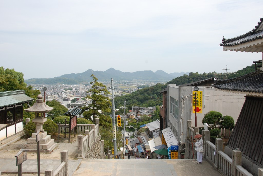 Shikoku Pilgrimage Guide: Walking the 88 Temple&nbsp;Route