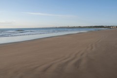 Oarai Coast Travel Guide: Seafood, the Aquarium and Ibaraki's Pacific Edge