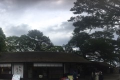 Odawara Castle Travel Guide: A Rebuilt Keep on the Hakone Road