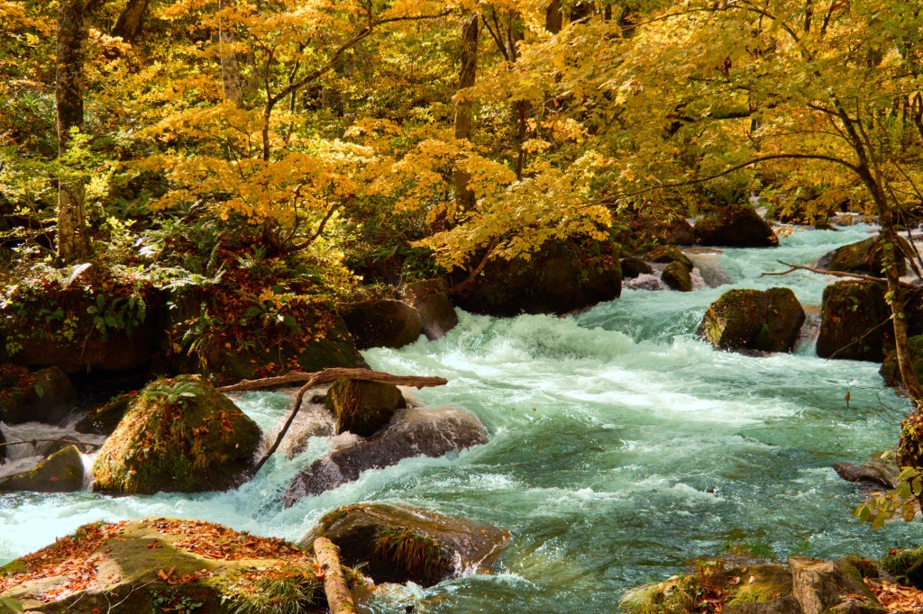 Lake Towada Travel Guide: Oirase Stream, Autumn Colour and the Calm Side of&nbsp;Aomori