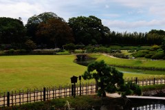 Okayama Korakuen Travel Guide: A Garden Beside the Castle