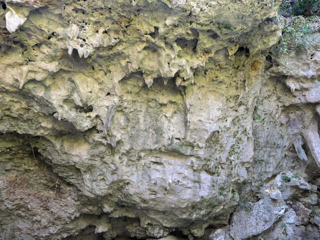 Sefa Utaki Travel Guide: The Ryukyu Sacred Grove in&nbsp;Nanjo