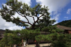 Ouchi-juku Travel Guide: A Thatched Post Town in Fukushima