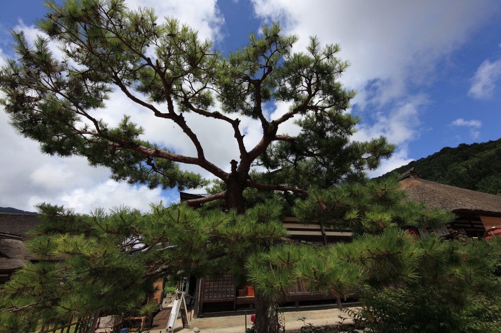 Thatched-roof houses lining the main street of Ouchi-juku in Fukushima, Japan