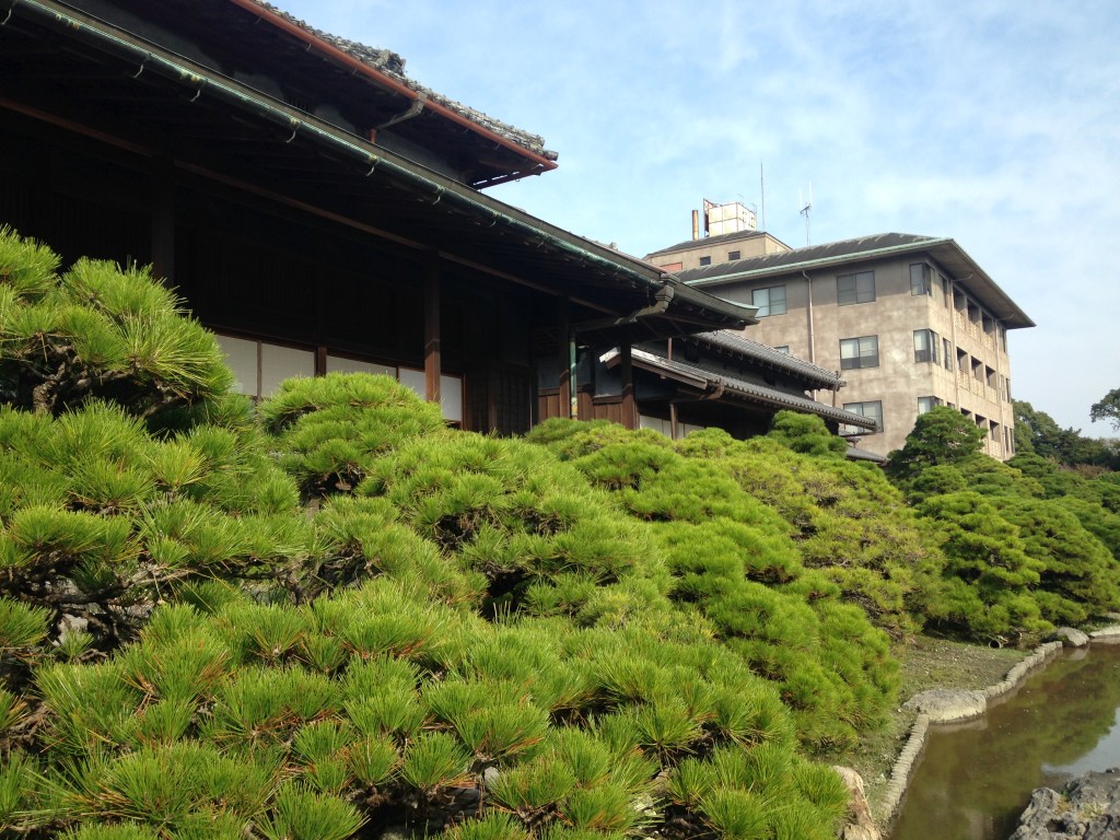 Pruned pine trees and a pond in Shotoen garden at Ohana in Yanagawa