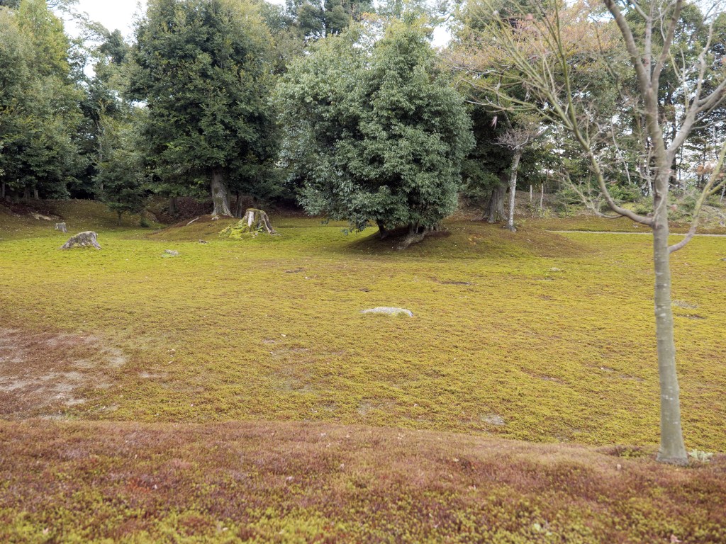 The pond garden at Kinkaku-ji with clipped pines and the pavilion behind