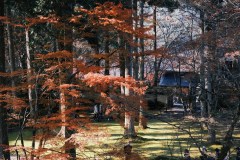 Ohara and Sanzen-in Day Trip from Kyoto: Mountain Temples and Village Paths