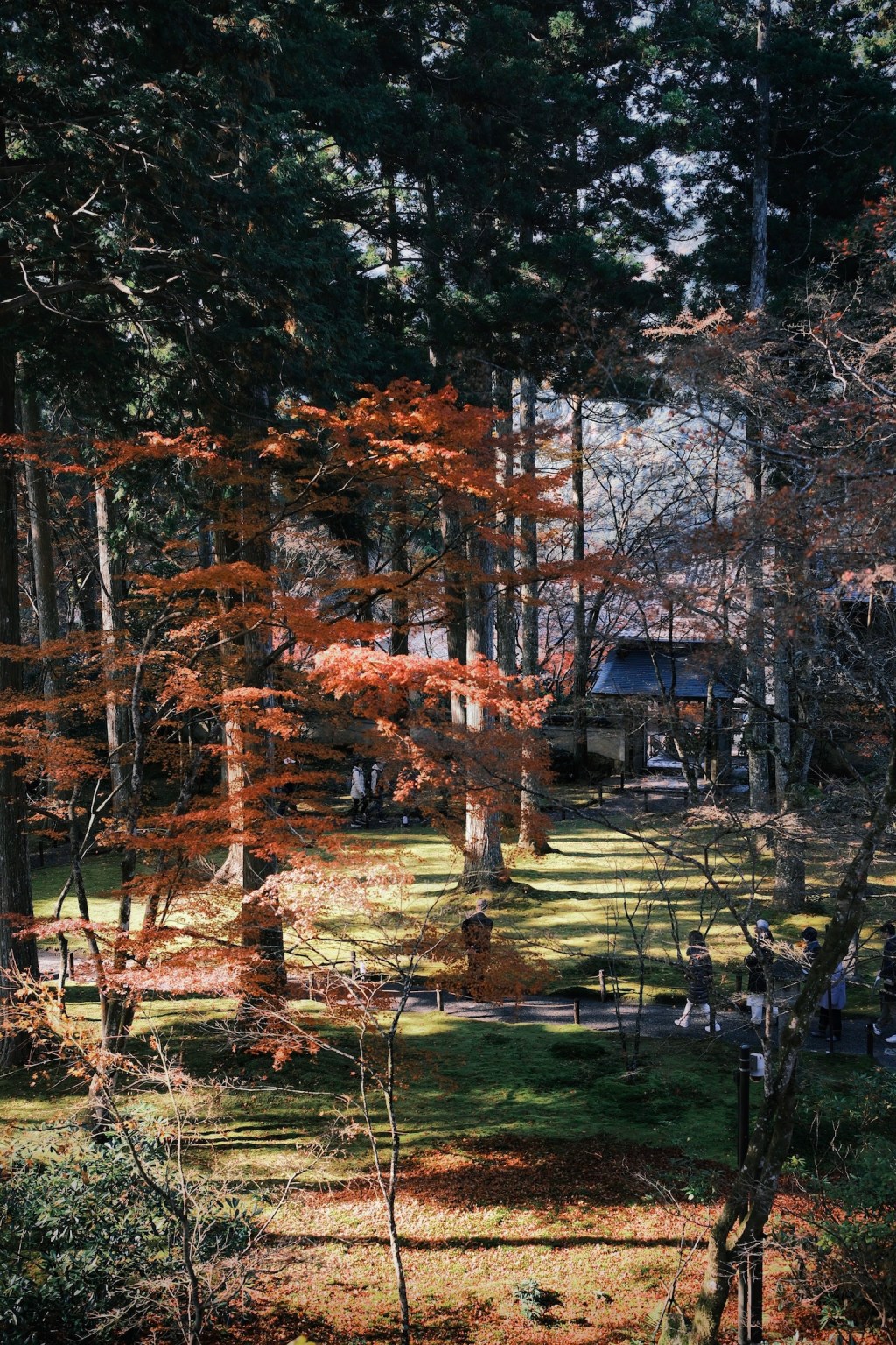 Courtyard garden at Sanzen-in Temple in Ohara, Kyoto