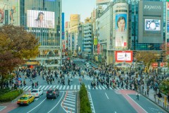 Shibuya Travel Guide: SHIBUYA SKY, Scramble Crossing & Things to Do in Tokyo